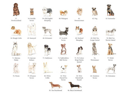 Gift for dog owner | Pet portrait dog present | Labrador Cockapoo Bulldog Spaniel Terrier Collie Labradoodle Beagle Pug Gift VA020