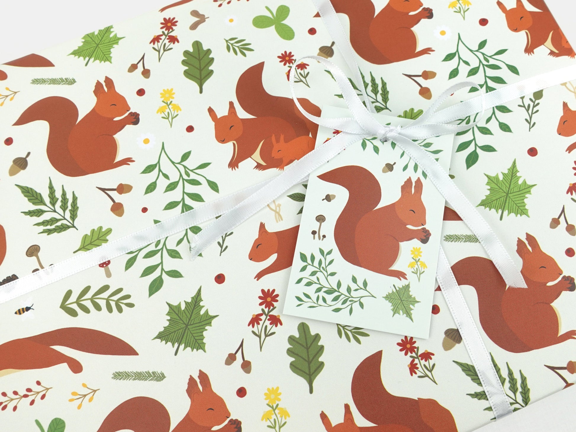 Red squirrel wrapping paper | Woodland animal eco friendly gift wrap | Premium quality sheets + Tags | Zero plastic packaging 70x50cm